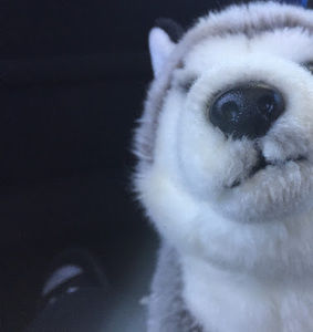 Meet your Posher, Darkness